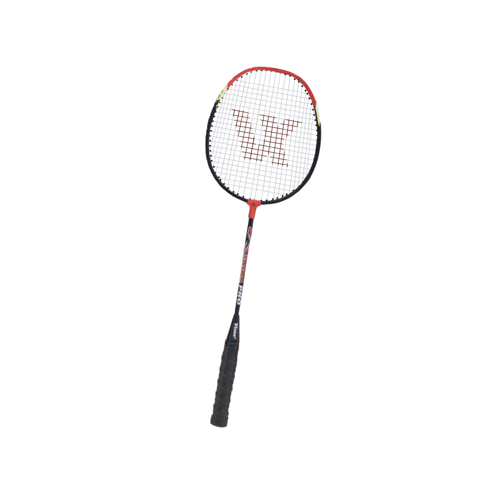 BADMINTON RACKET TERINA WITH COVER